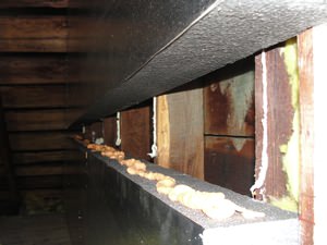 An effective attic insulation system in a Keystone Heights home