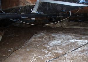 A musty, moldy, rotting dirt crawl space in Palm Coast that is in dire need of repairs