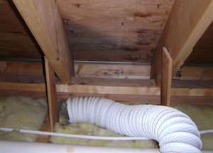Attic mold problem in a Florida home